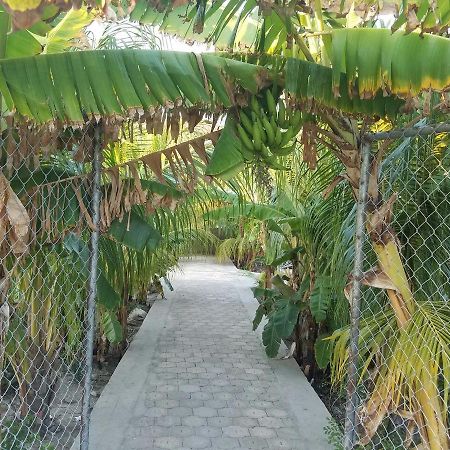 Auberge Pont-Gaudin Gonaives Zewnętrze zdjęcie