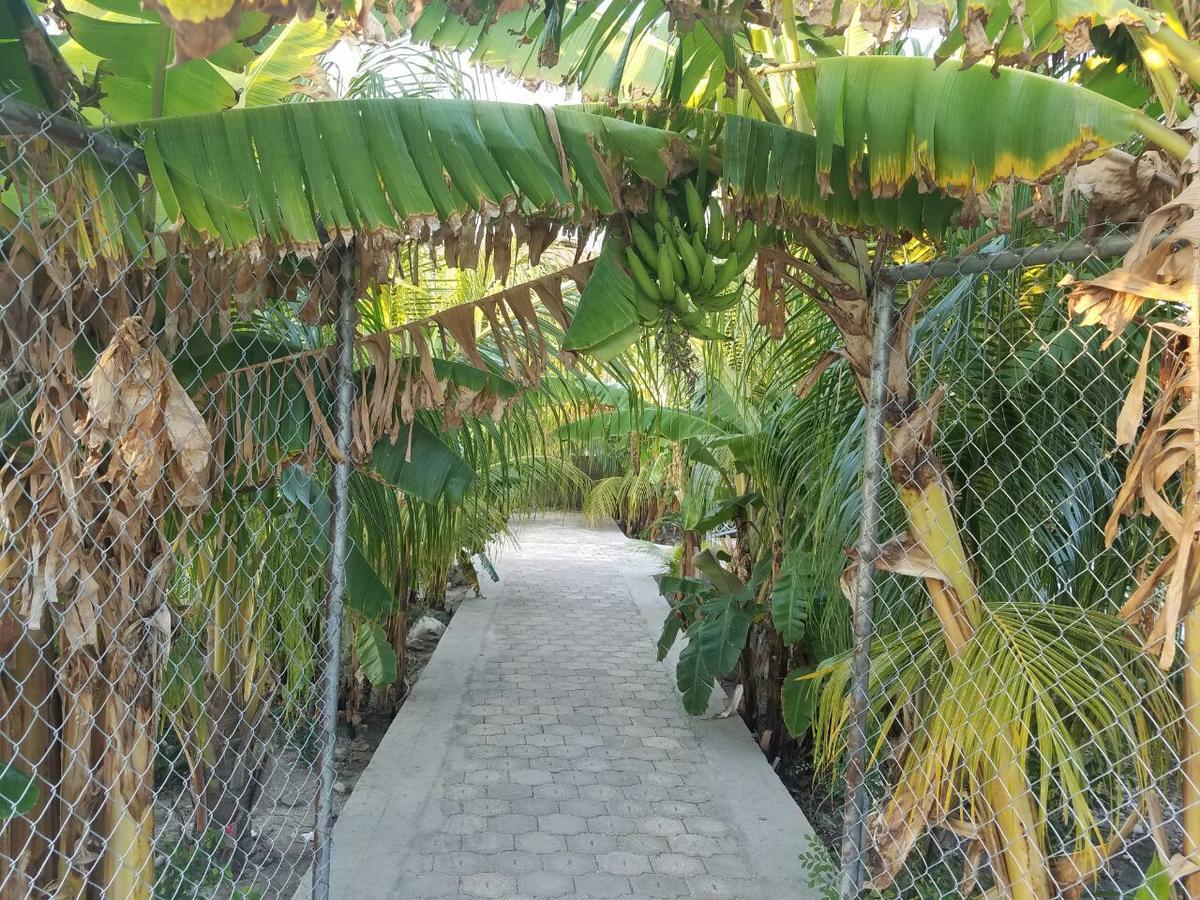 Auberge Pont-Gaudin Gonaives Zewnętrze zdjęcie